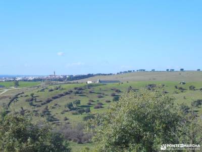 Caminos y Dehesas de Colmenar Viejo; buscar amigos madrid material para senderismo caminar por madri